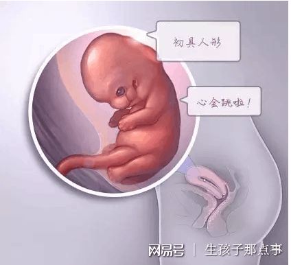 高龄二胎案例